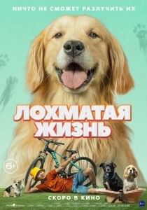 Лохматая жизнь 2023