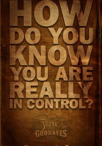 There Are No Goodbyes 2013