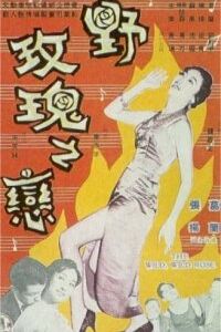 Дикая, дикая роза 1960