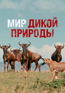 Мир дикой природы 2014