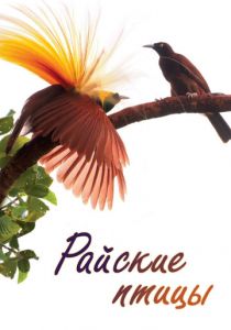 Райские птицы 2014
