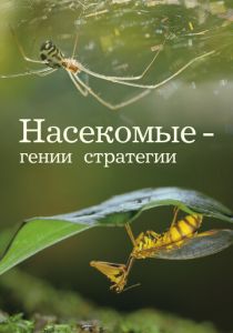 Насекомые - гении стратегии 2021
