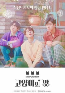 Кошачий бар 2018