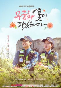 Гибискус расцвёл 2017