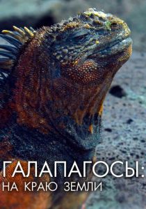 Галапагосы: На краю земли 2018