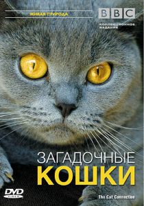 BBC: Загадочные кошки 2002