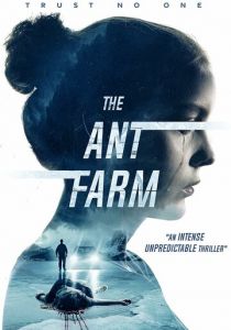 Муравьиная ферма 2022