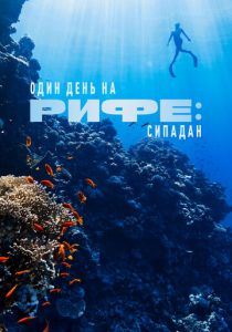 Один день на рифе: Сипадан 2023