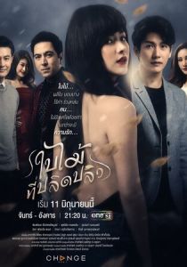 Опавший лист 2019