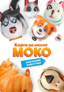Корги по имени Моко. Домашние животные 2019