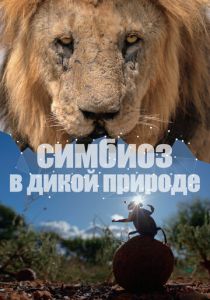 Симбиоз в дикой природе 2023