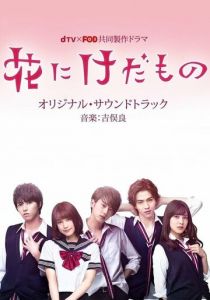 Цветок для зверя 2017