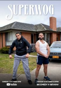 Супервог 2017