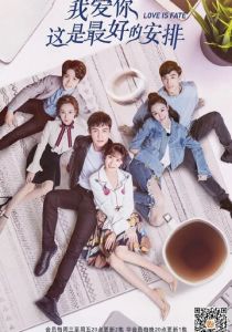 Любить тебя - лучшее решение 2019