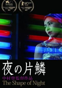 Проблеск ночи 1964