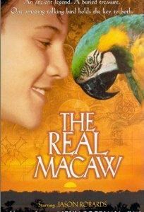 Мак-миллионер 1998